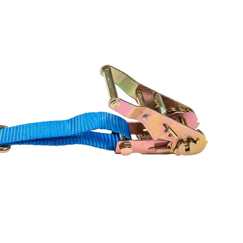 Correa de trinquete con logotipo personalizado de 1'' x 15' con gancho en J y anilla en D